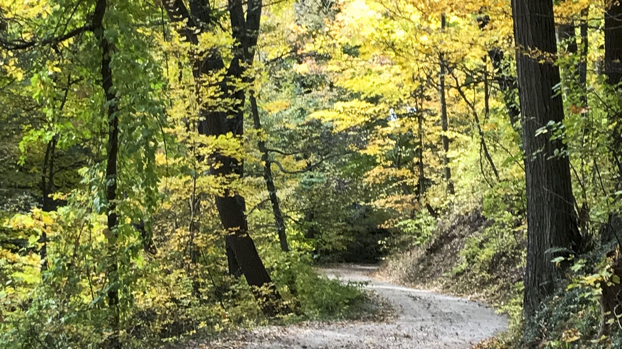 Photo of Outdoor in Covert