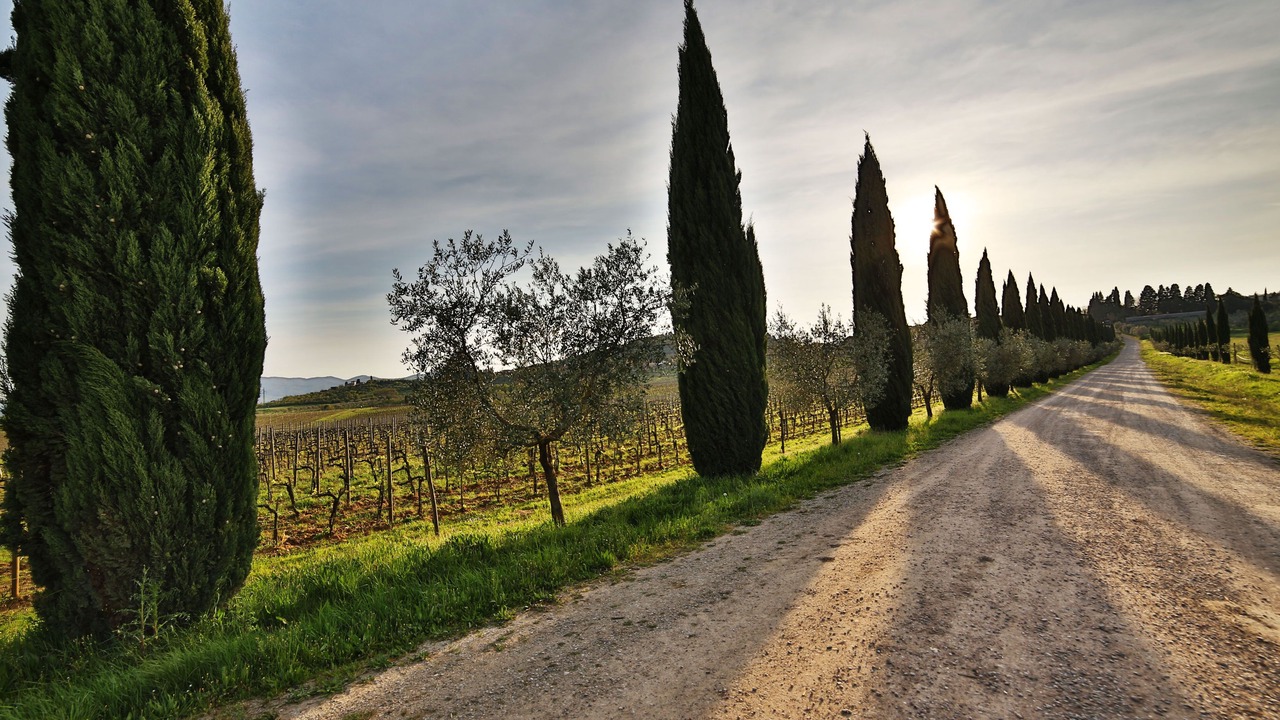 Photo of Outdoor in Rignano sull'Arno