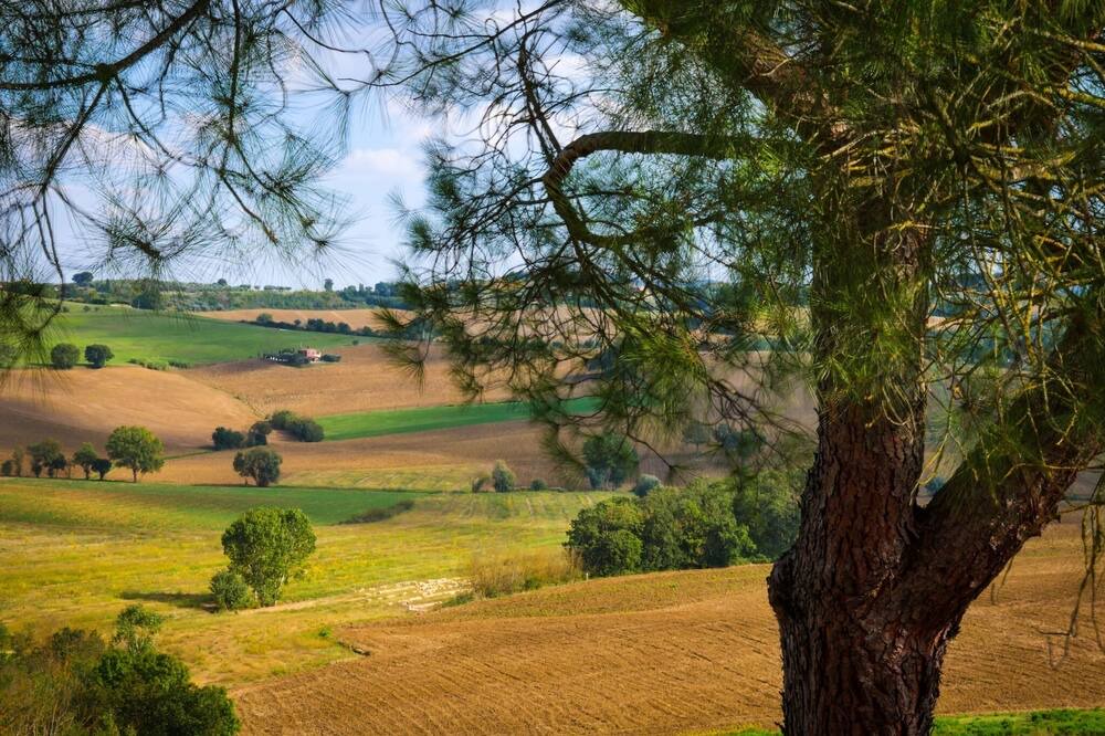 Photo of Outdoor in Castiglione del Lago