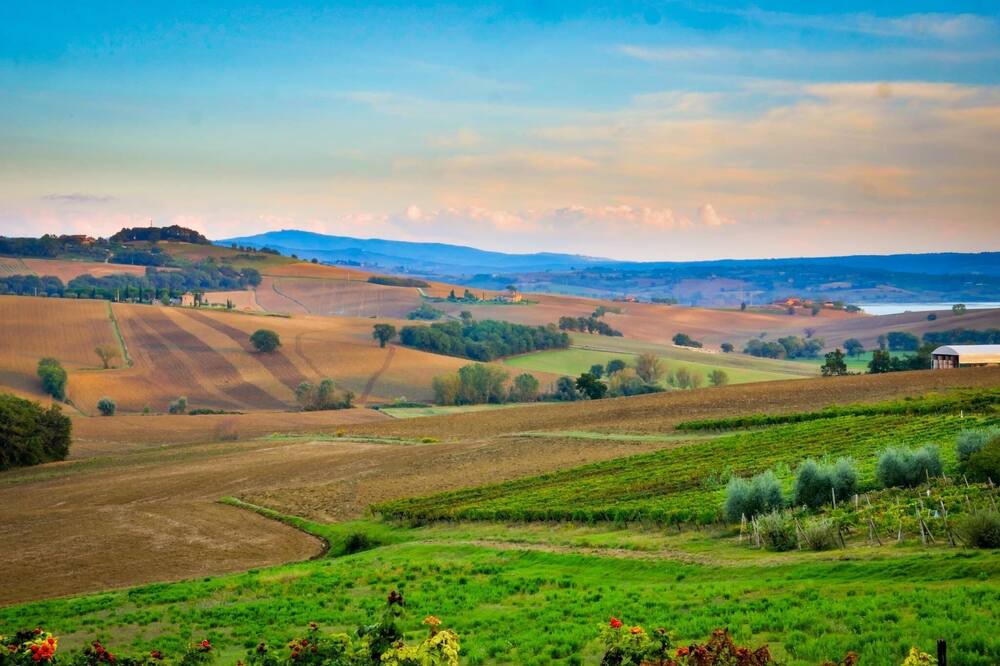 Photo of Others in Castiglione del Lago