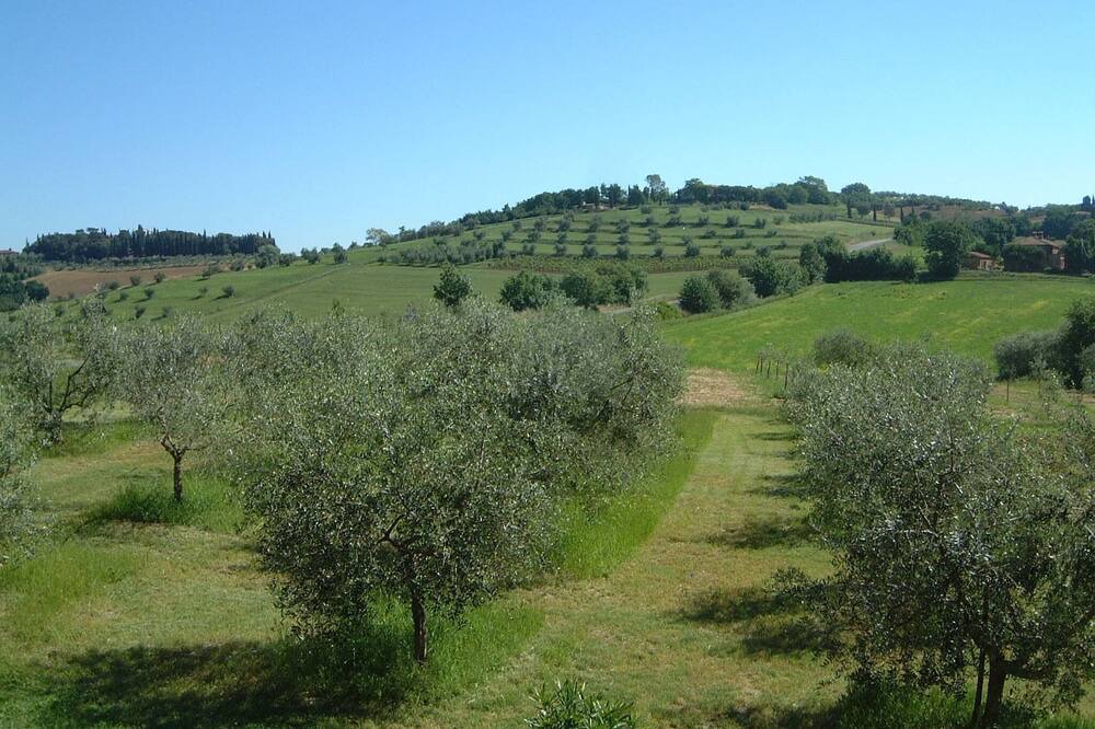 Photo of Outdoor in Castiglione del Lago