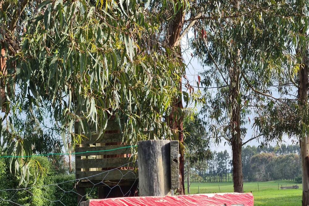 Photo of Outdoor in Woolsthorpe