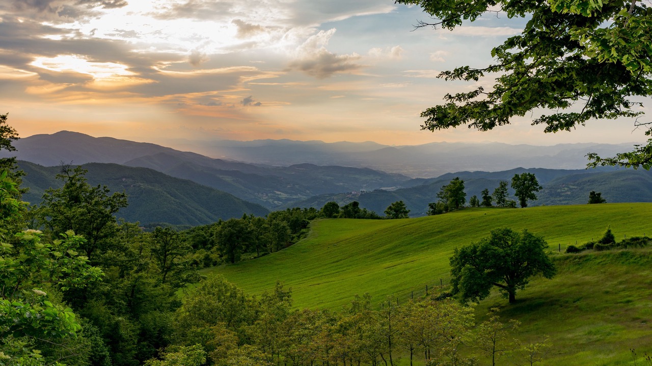 Photo of Outdoor in Londa