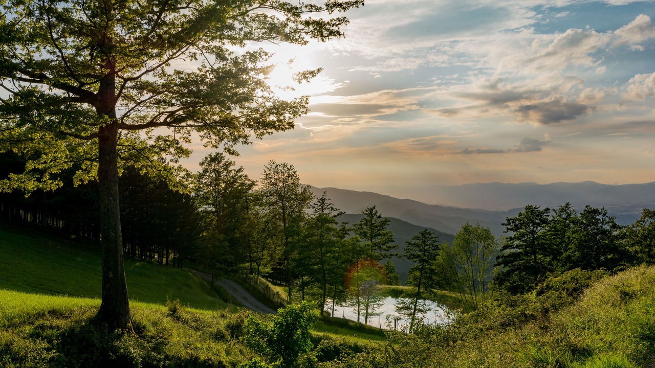 Photo of Outdoor in Londa