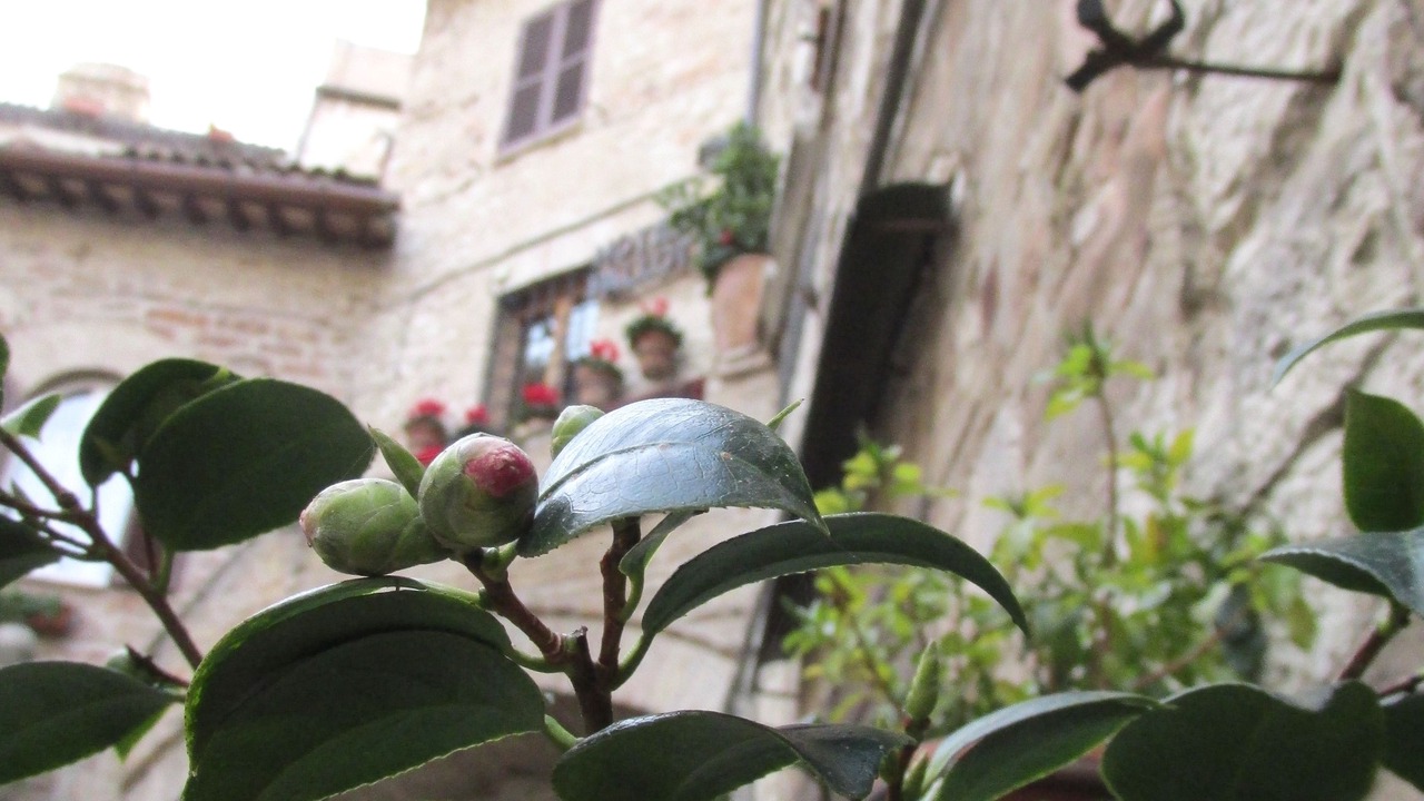 Photo of Outdoor in Assisi
