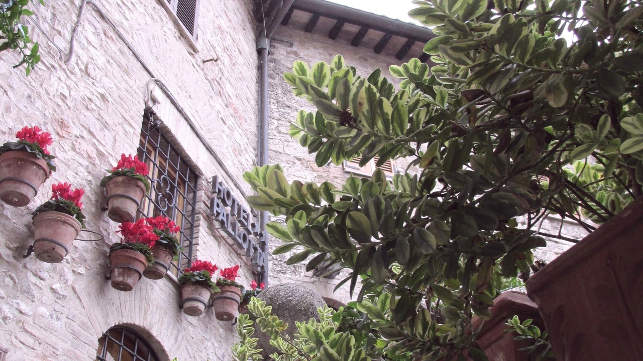 Photo of Outdoor in Assisi