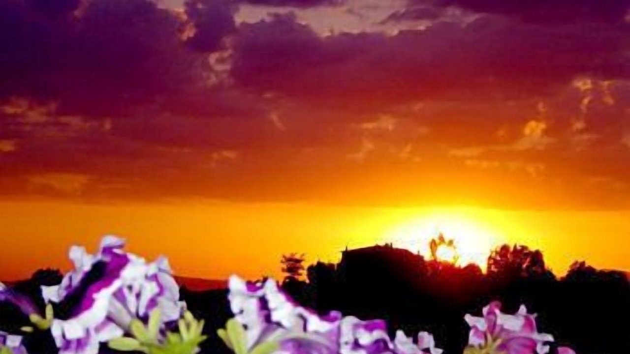 Photo of Outdoor in Viole