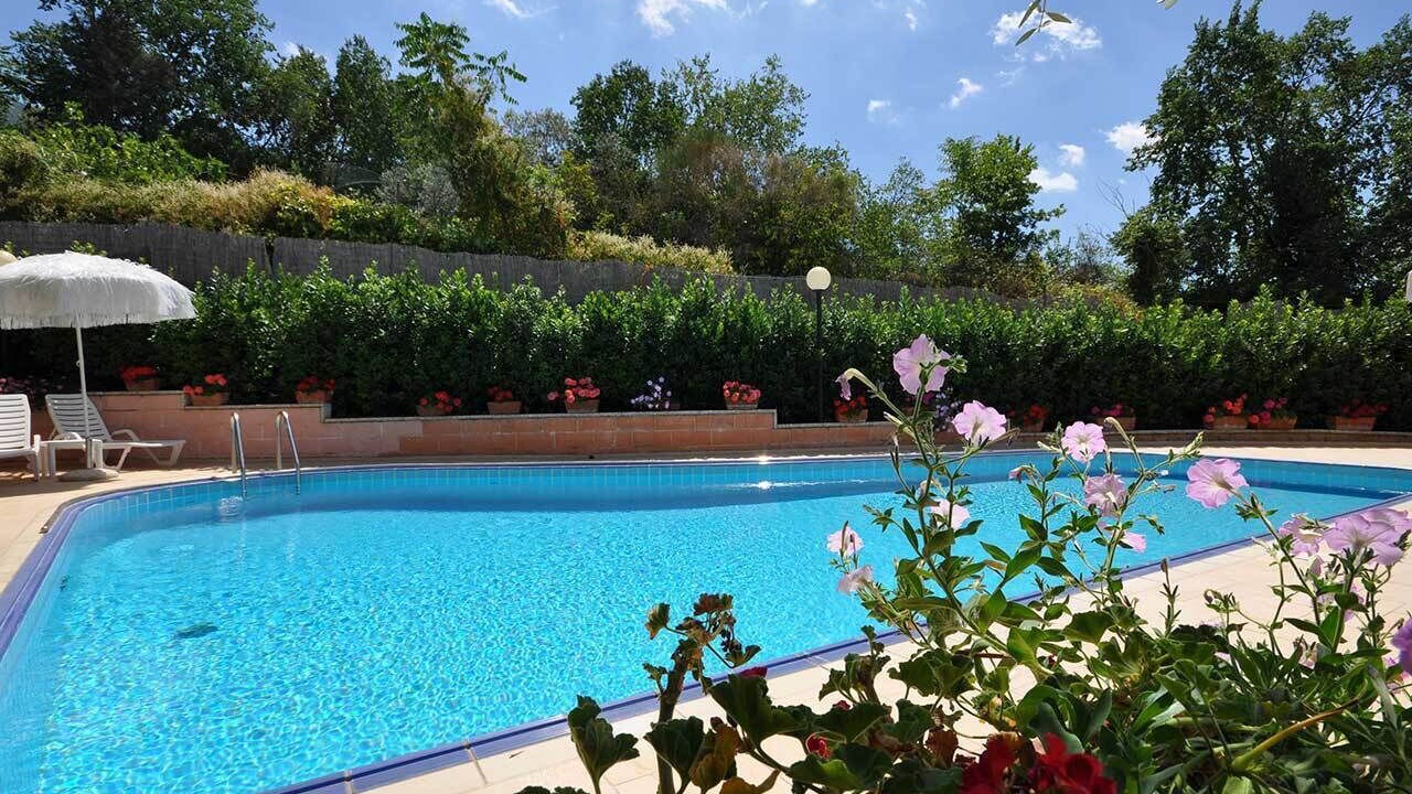 Photo of Outdoor in Viole