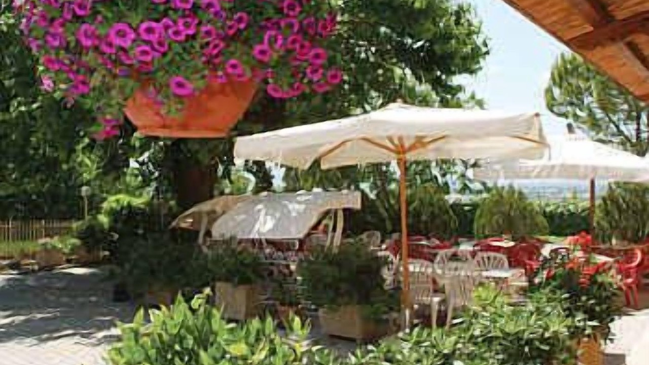 Photo of Outdoor in Viole