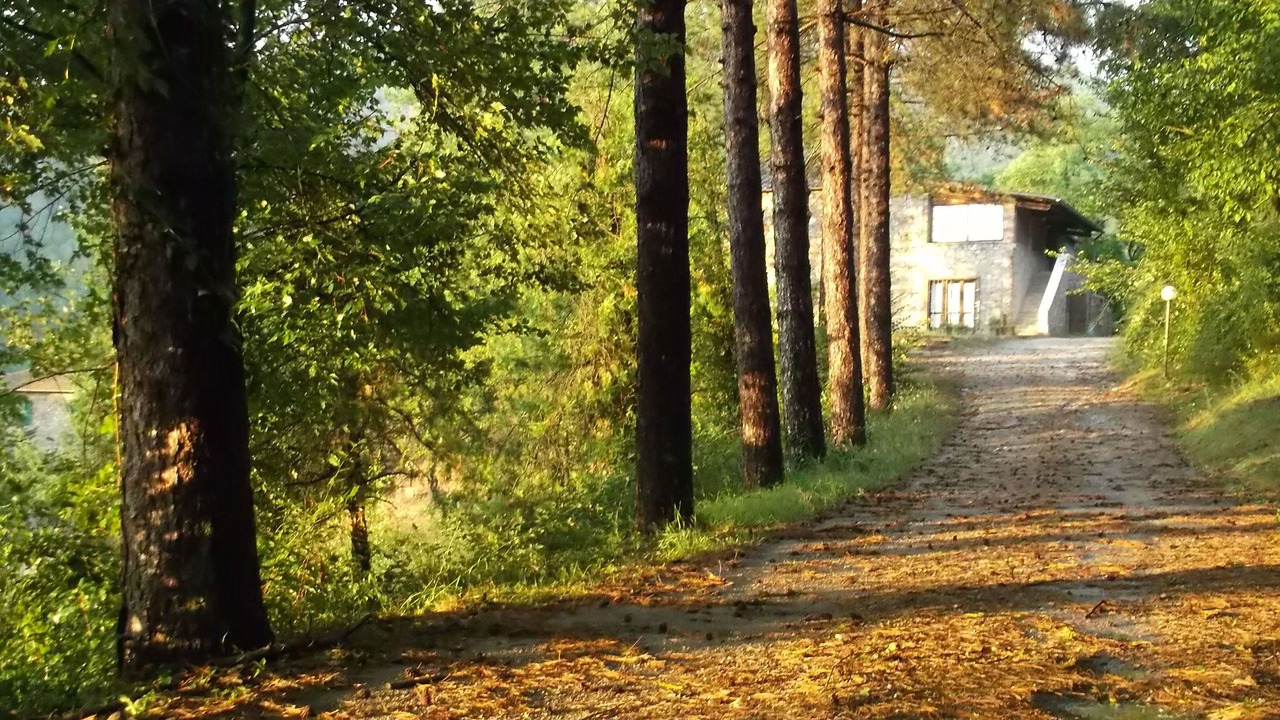 Photo of Outdoor in Ficulle