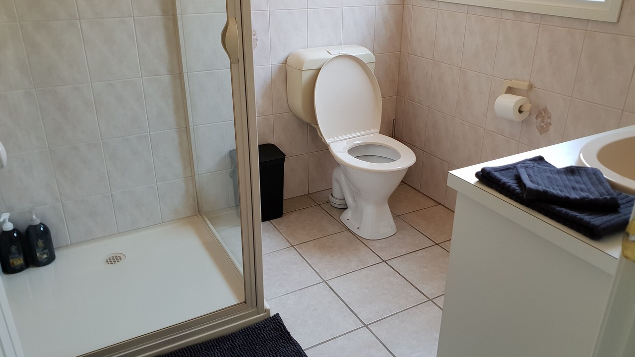 Photo of Bathroom in Mildura