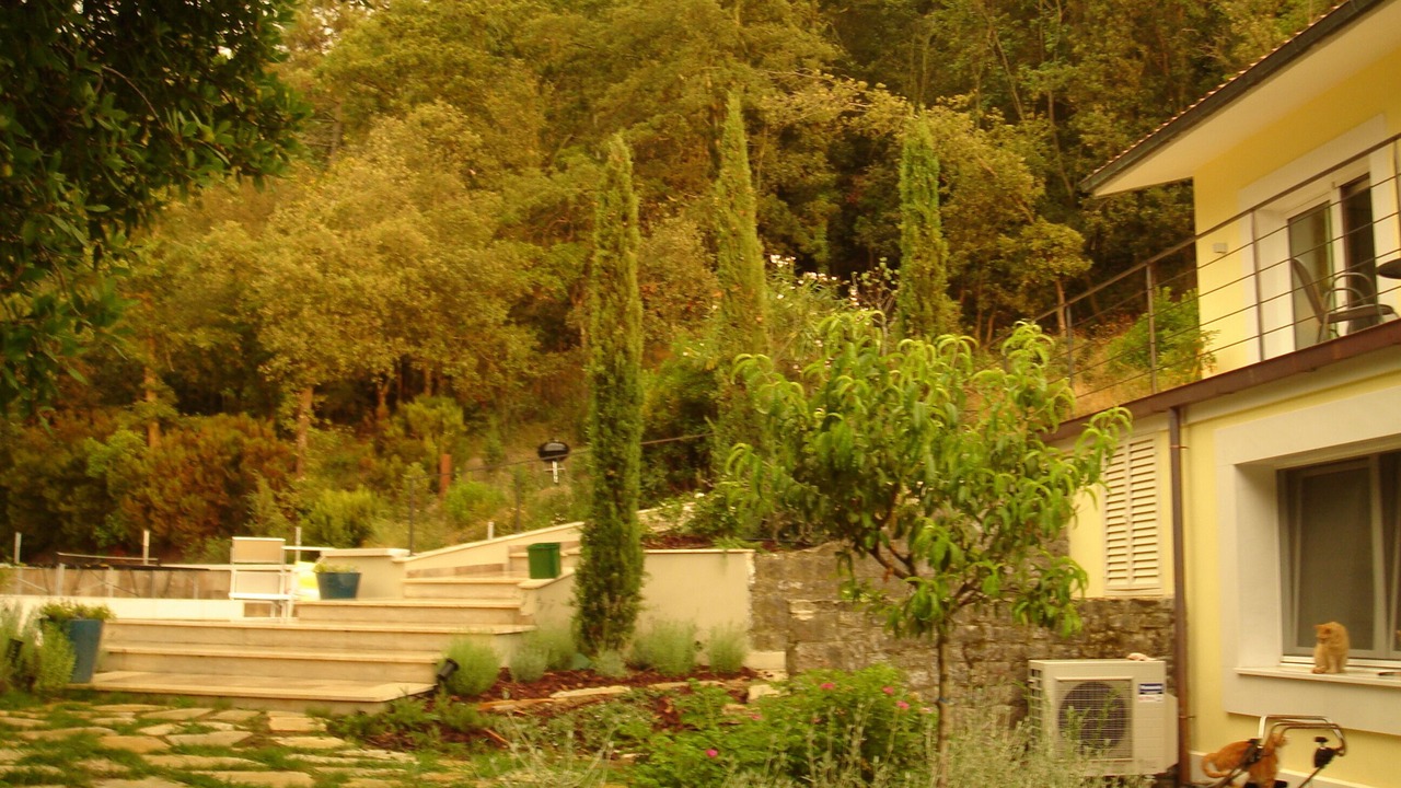 Photo of Outdoor in Livorno