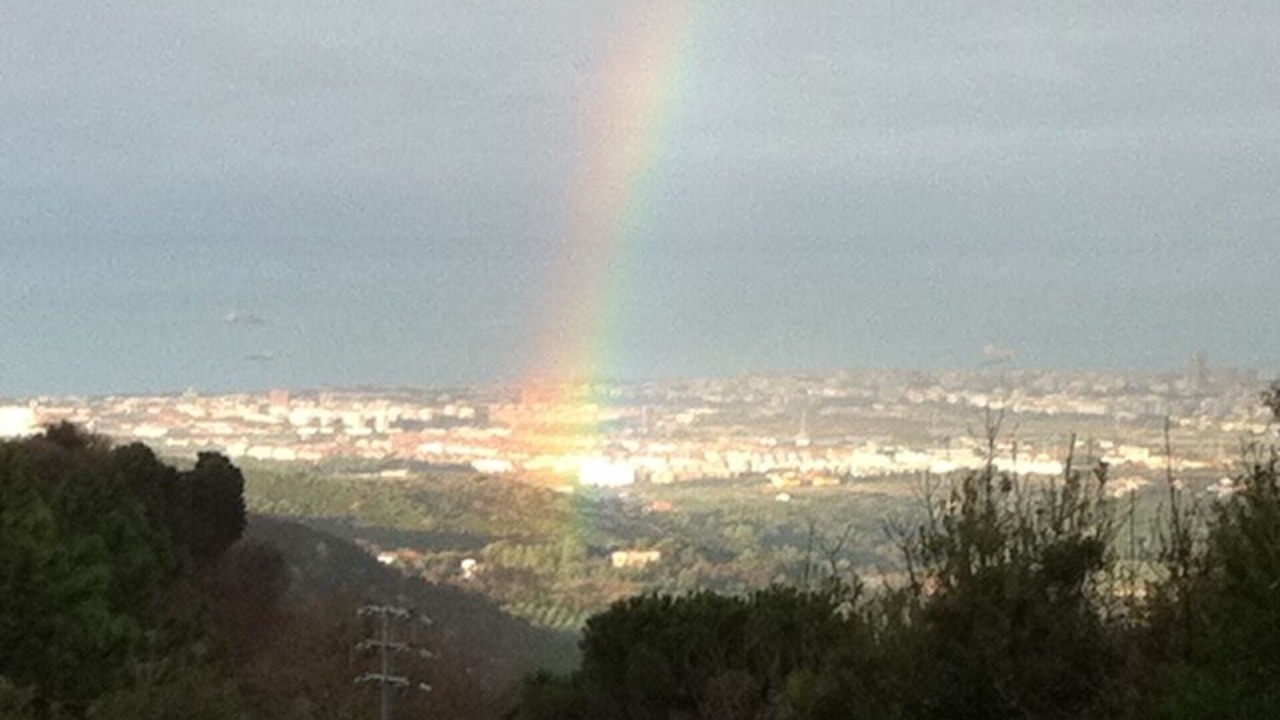 Photo of Others in Livorno