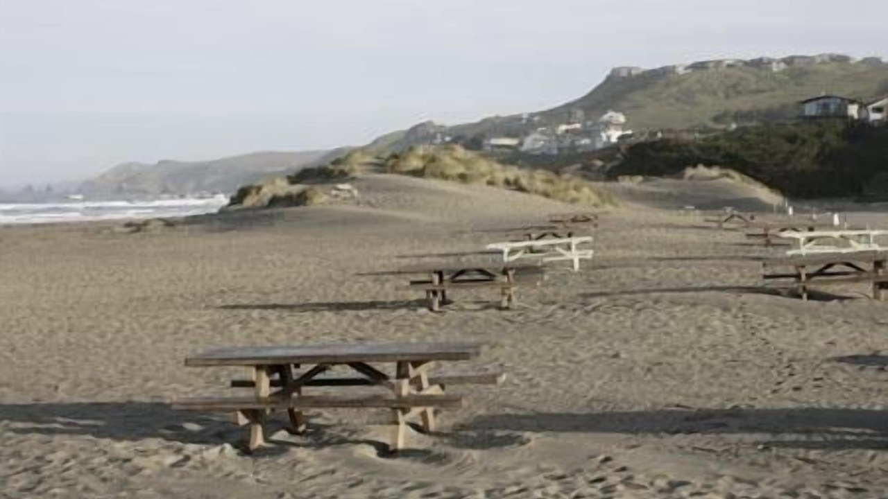 Photo of Others in Dillon Beach
