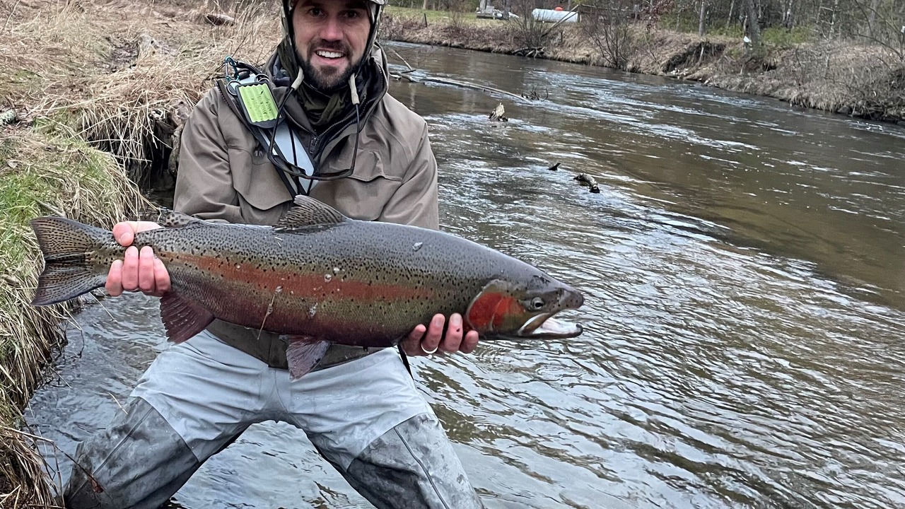 Photo of Outdoor in Baldwin