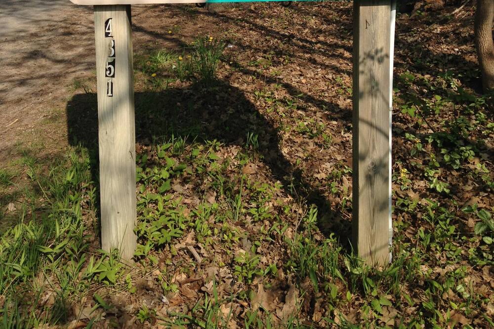 Photo of Others in Lake Township