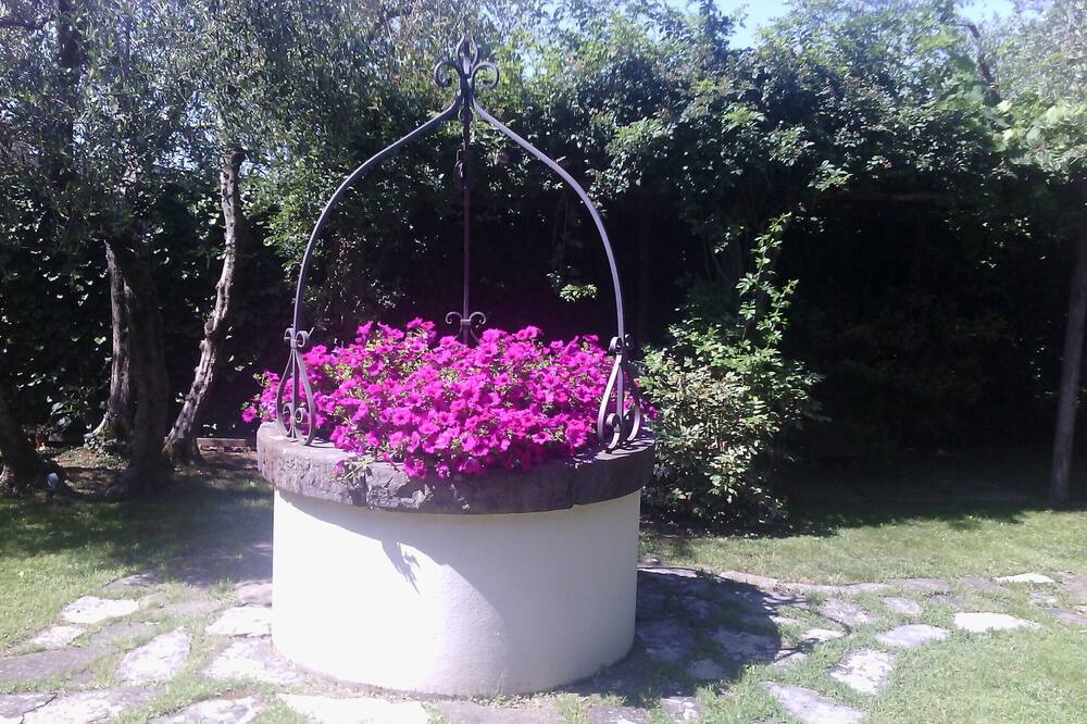 Photo of Outdoor in Castello
