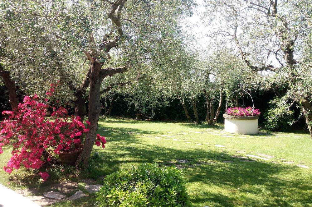 Photo of Outdoor in Castello