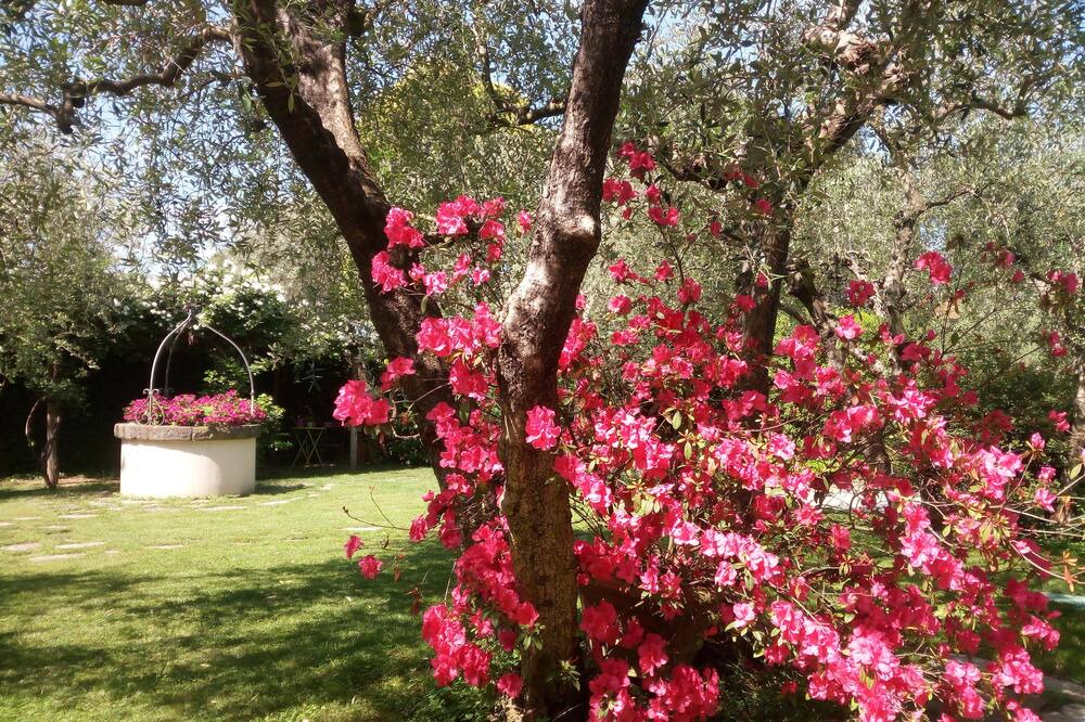 Photo of Outdoor in Castello