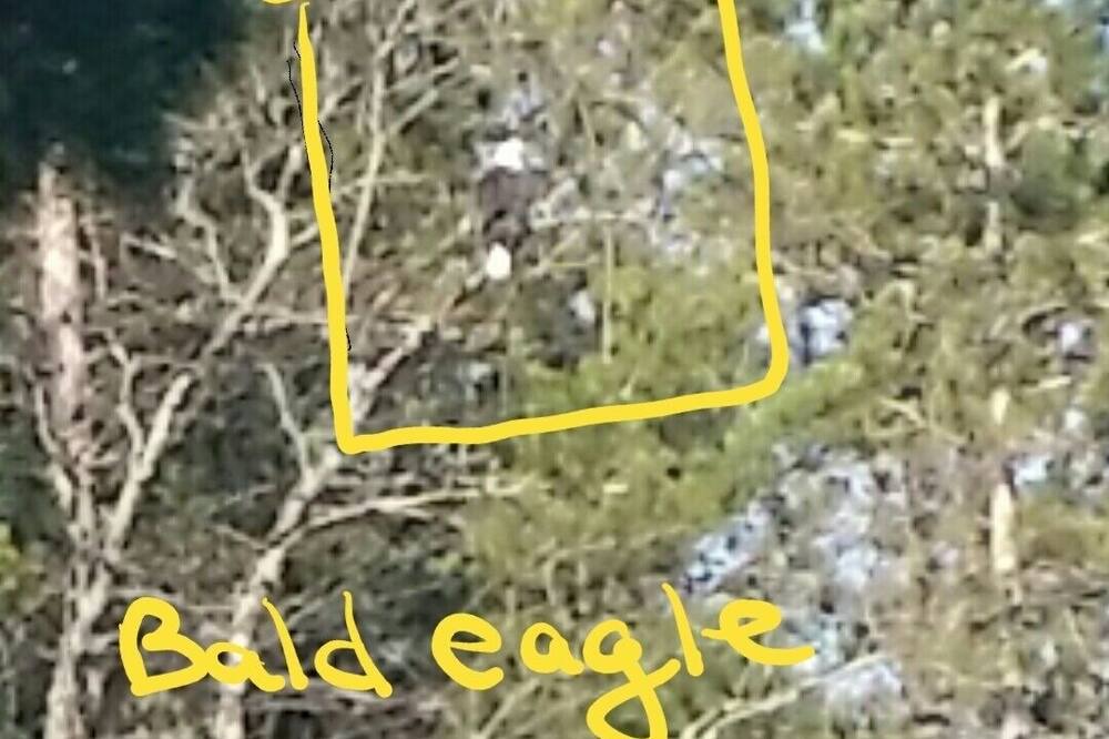 Photo of Others in Kalkaska