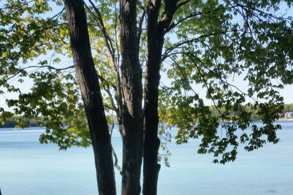 Photo of Others in Kalkaska