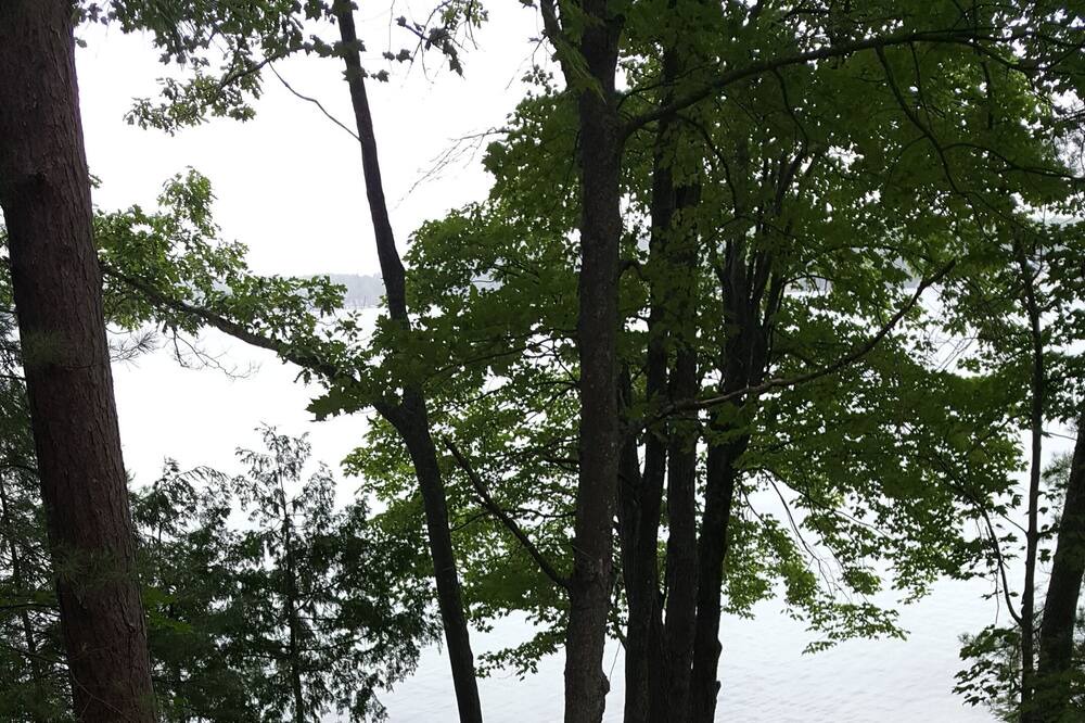 Photo of Outdoor in Kalkaska