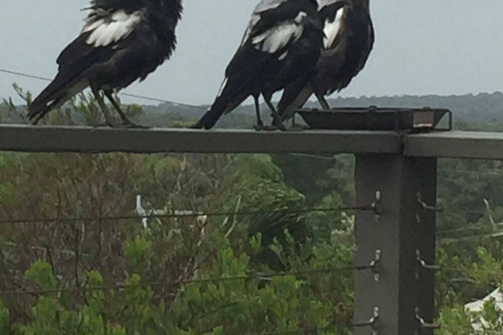 Photo of Others in Grantville
