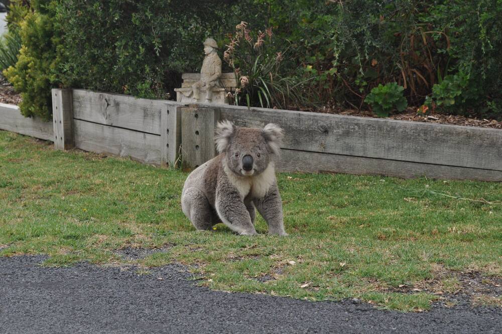 Photo of Outdoor in Cape Paterson