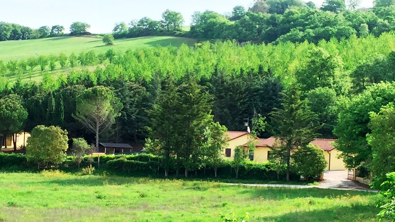 Photo of Outdoor in Assisi