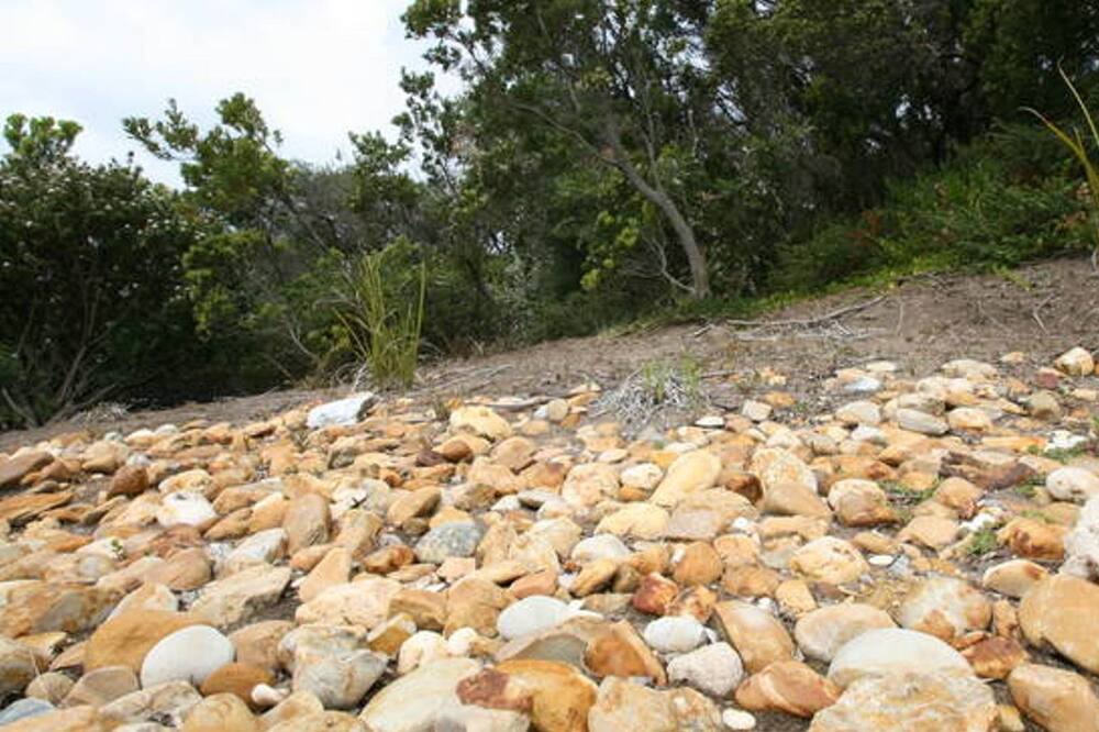 Photo of Outdoor in St. Andrews Beach