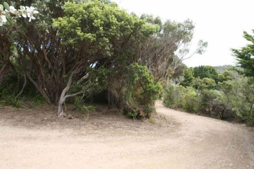 Photo of Outdoor in St. Andrews Beach
