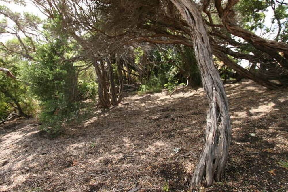 Photo of Outdoor in St. Andrews Beach