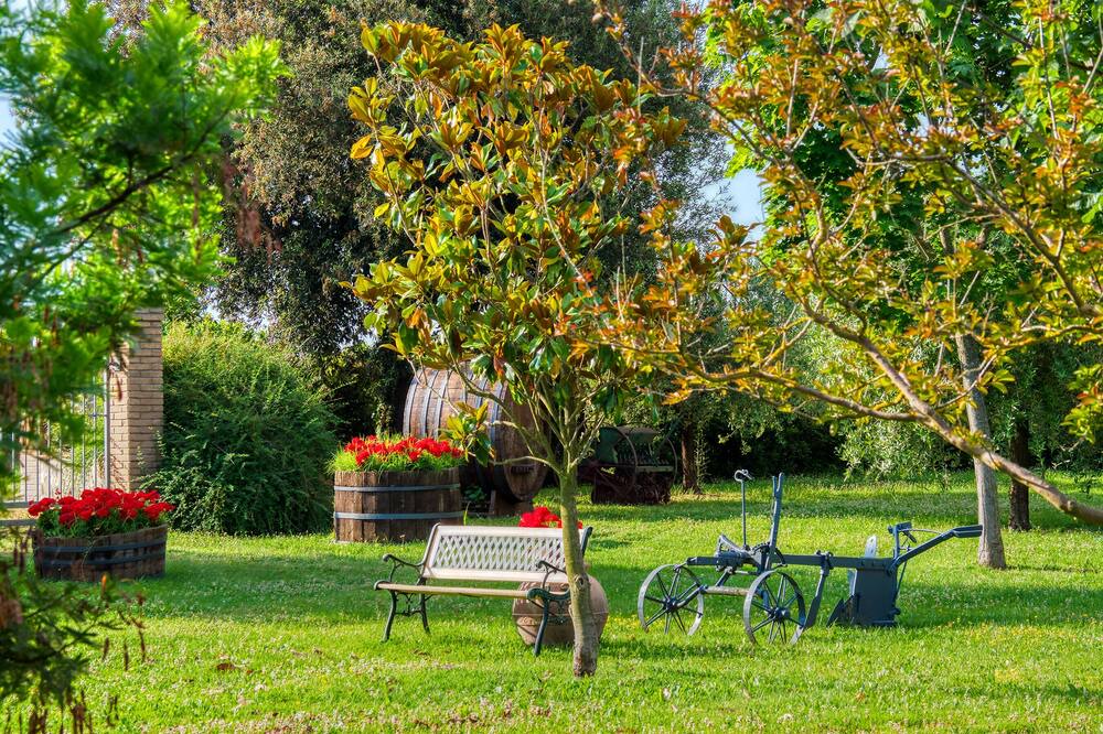 Photo of Outdoor in Bettona