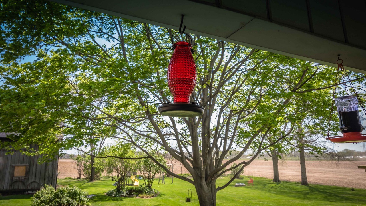Photo of Outdoor in Sodus