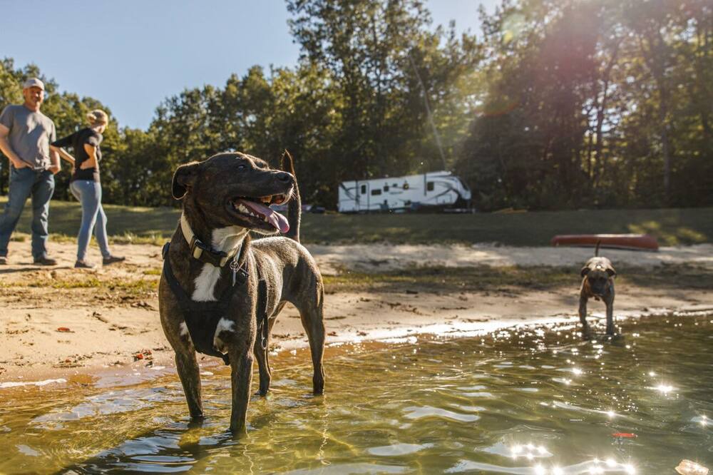 Photo of Others in South Haven