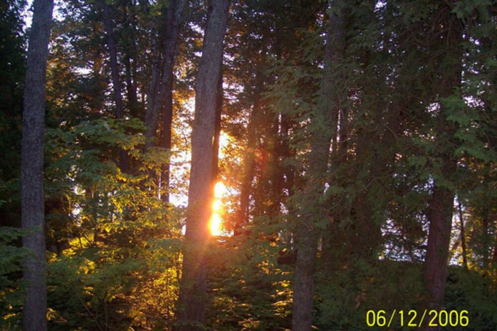 Photo of Outdoor in Jacksonport