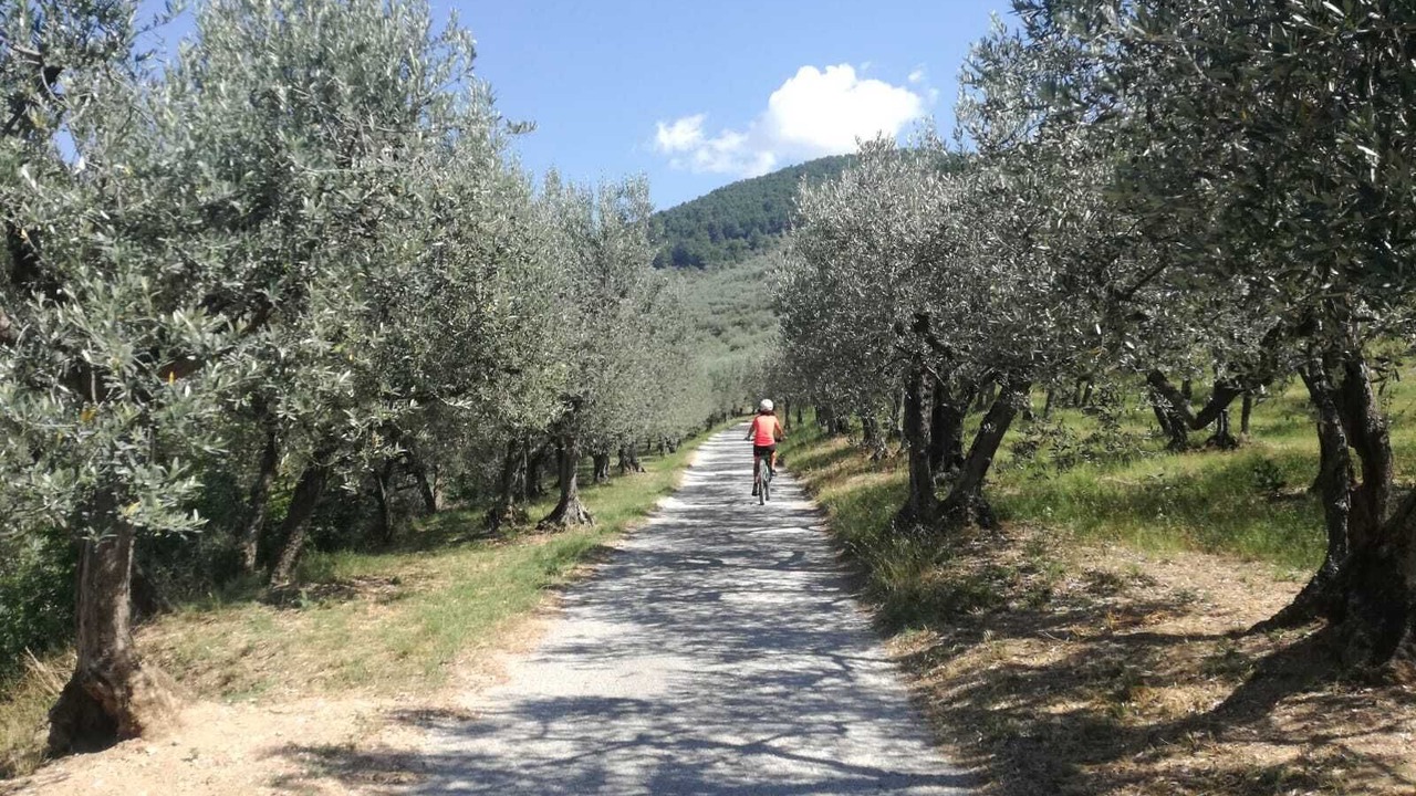 Photo of Outdoor in Castelnuovo