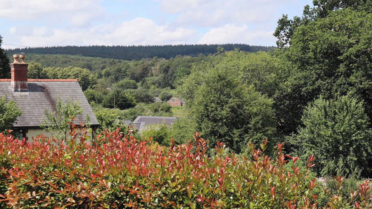 Photo of Others in Parkend