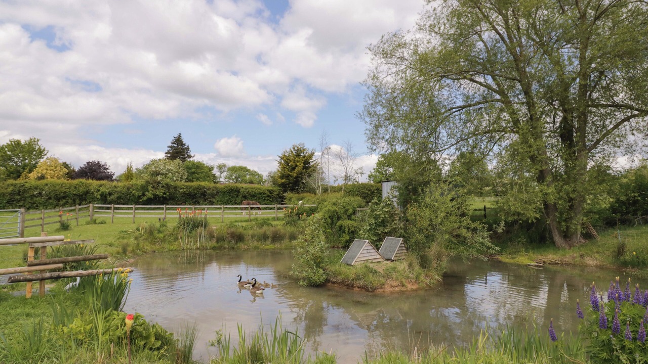 Photo of Outdoor in Astwood Bank
