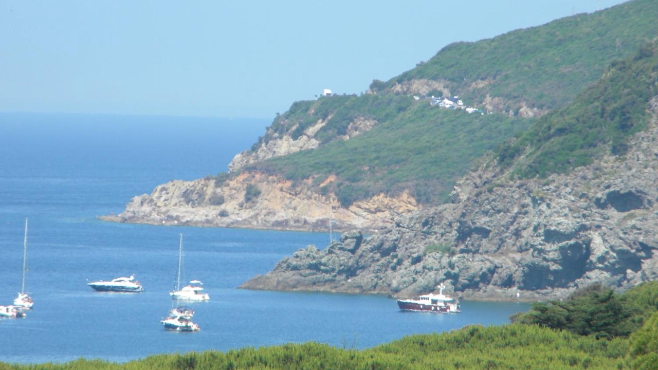 Photo of Others in Quercianella
