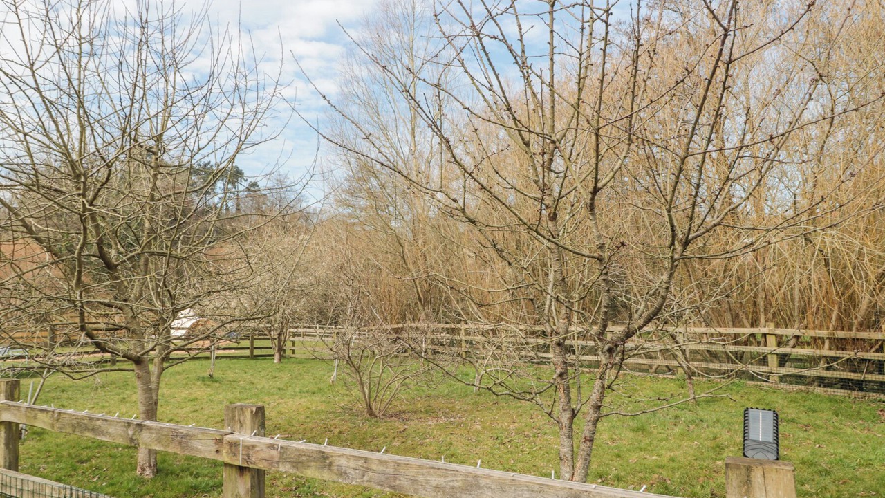 Photo of Outdoor in Camerton