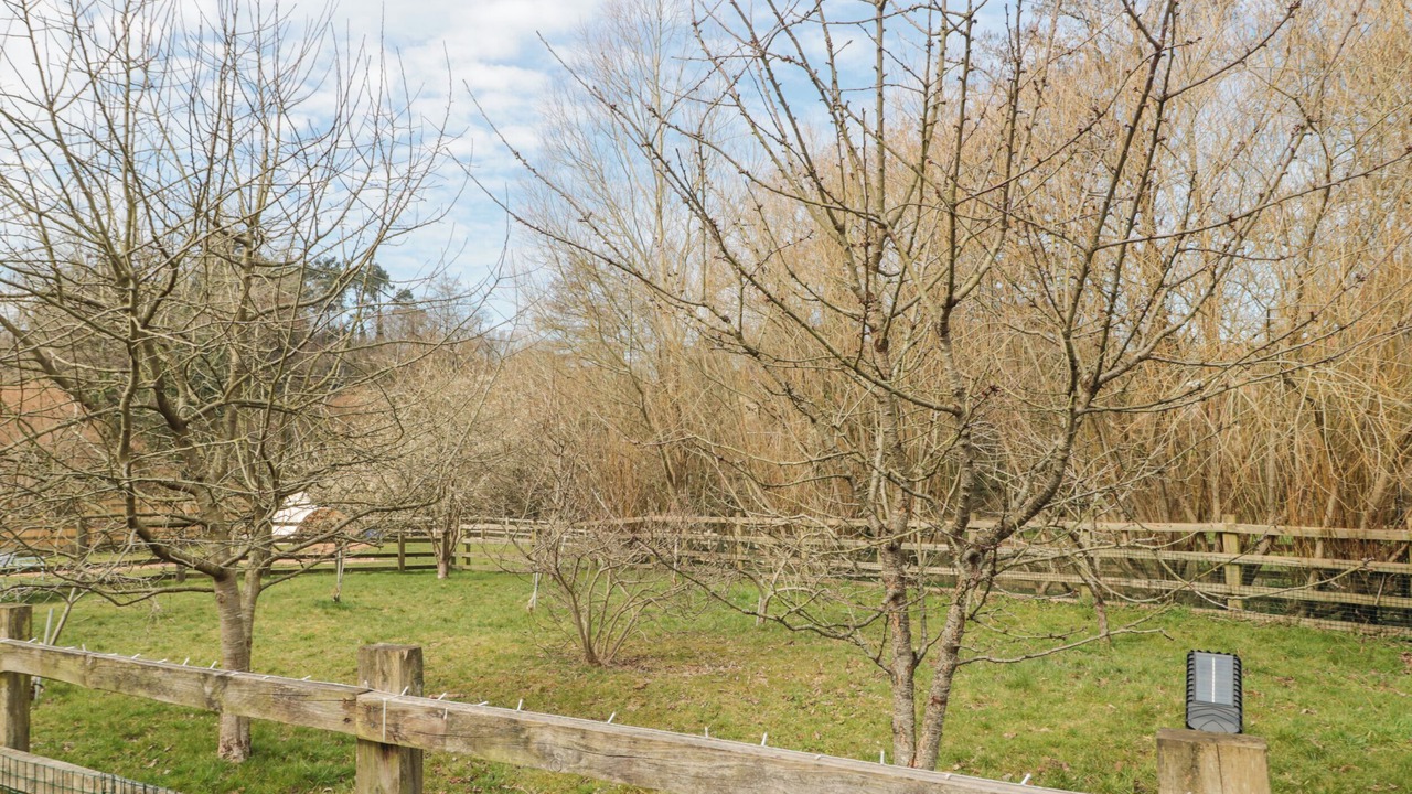 Photo of Outdoor in Camerton