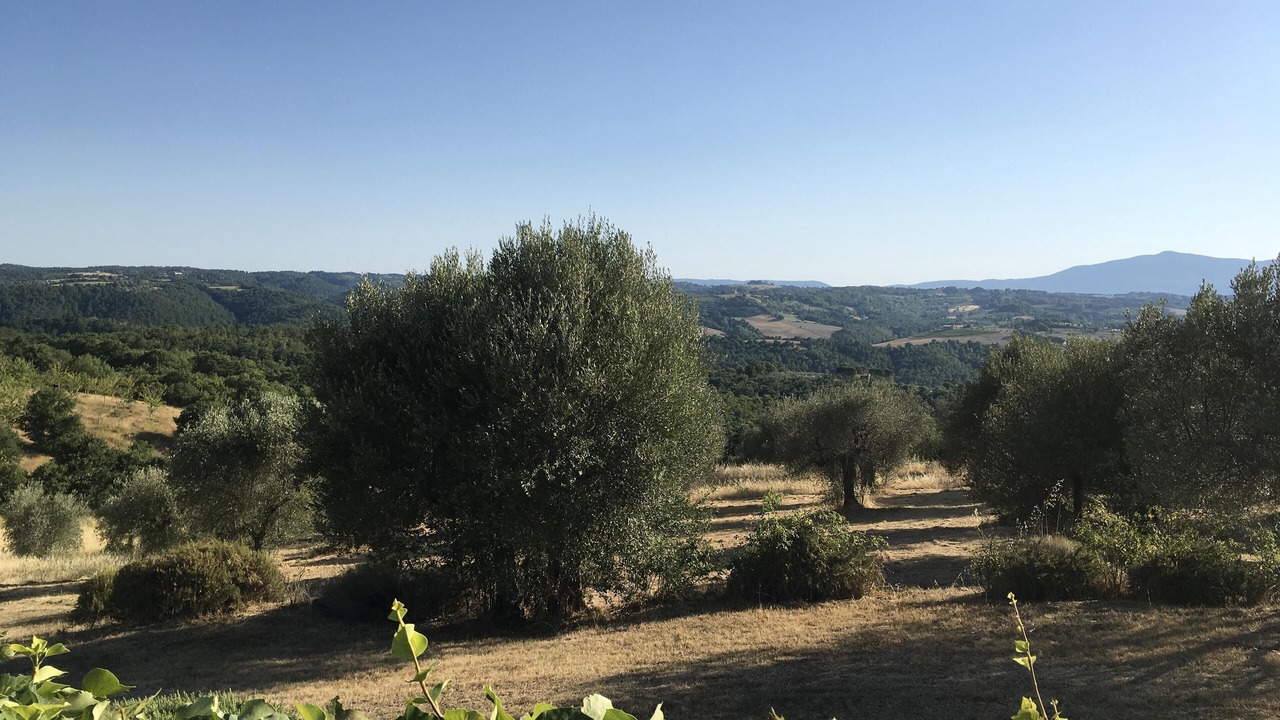 Photo of Others in Citta della Pieve