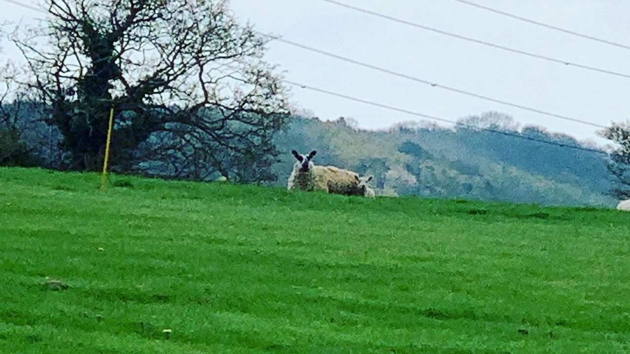 Photo of Others in Wixford