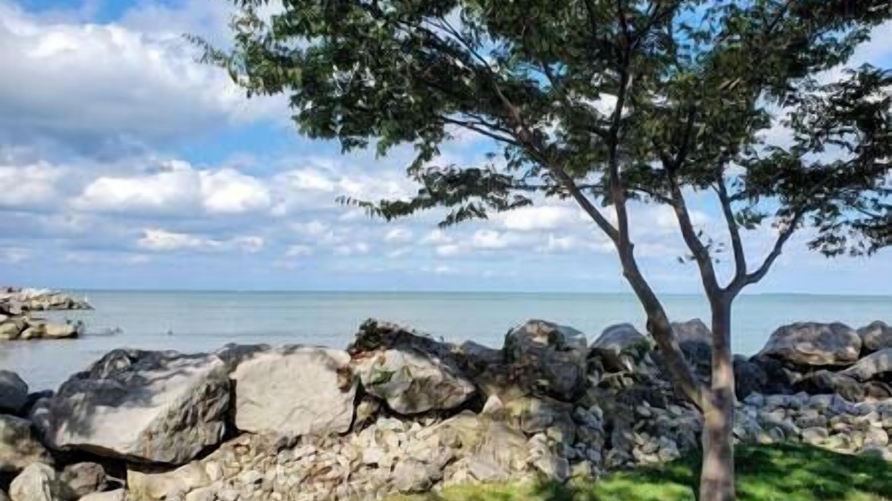 Photo of Others in Oak Harbor