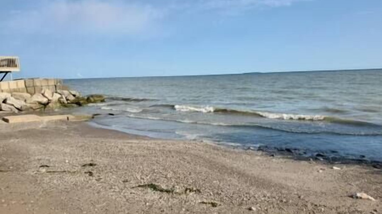 Photo of Others in Oak Harbor