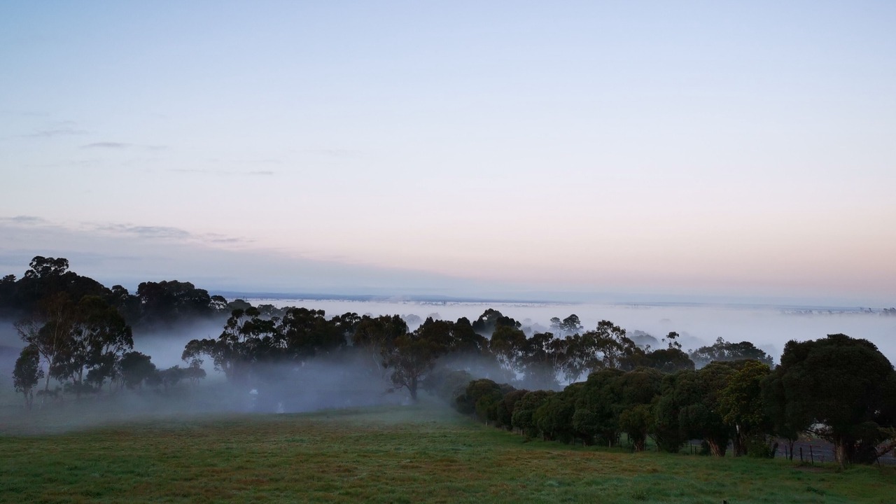 Photo of Others in Tynong North