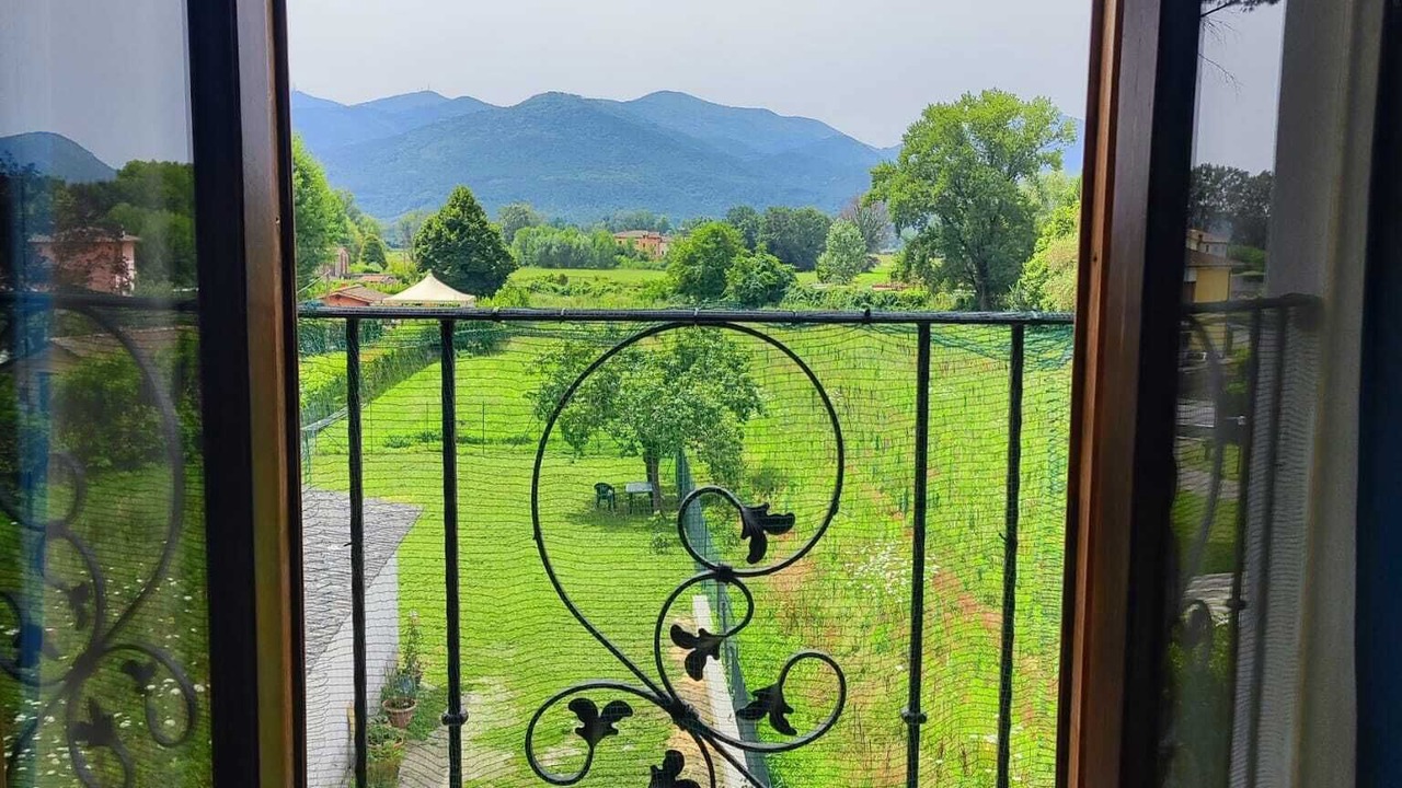 Photo of Bedroom in Capannori
