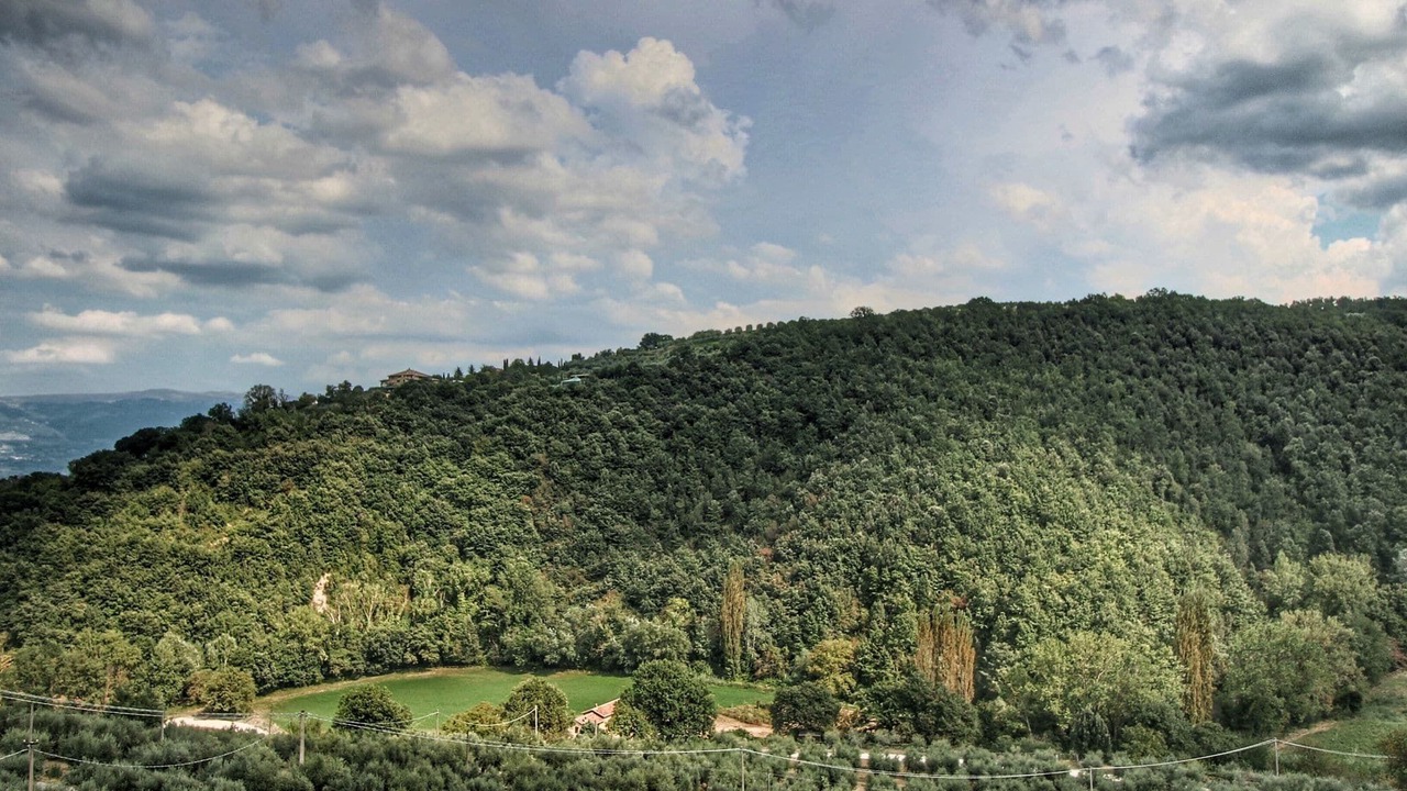 Photo of Others in Bettona