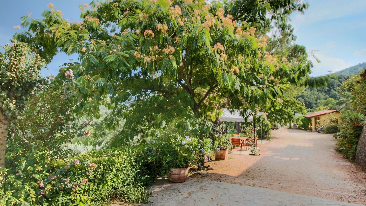Photo of Outdoor in Bettona